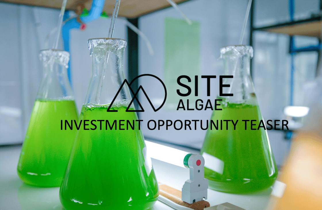Algae: A Sustainable Resource Worth Billions and SiteAlgae's ...